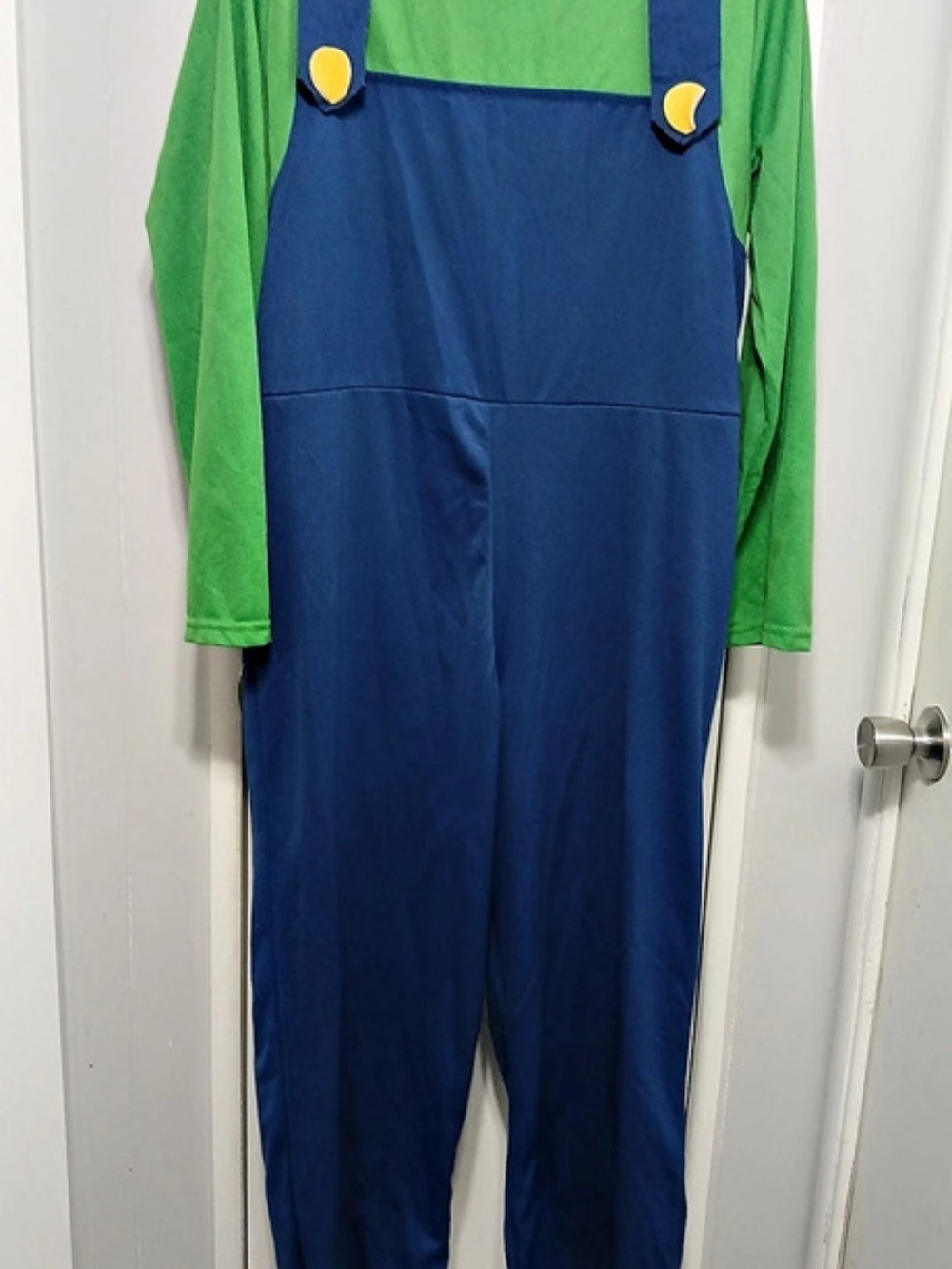 Nintendo Super Mario Bros. Luigi Costume Jumpsuit Blue & Green